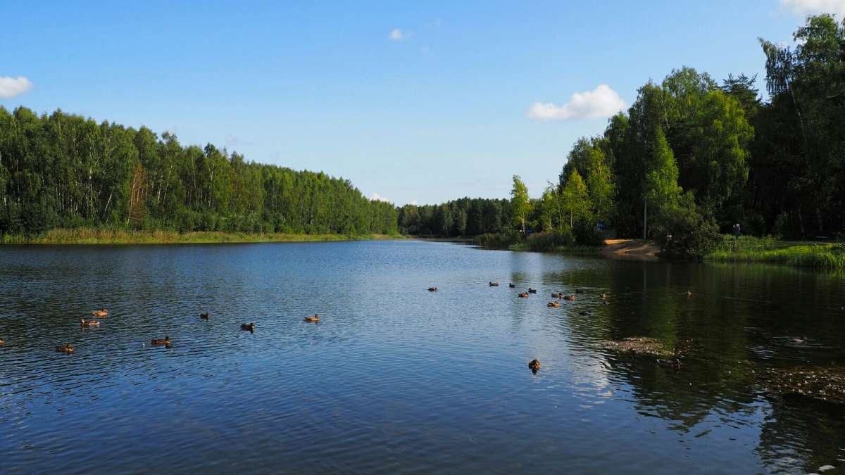����������� �����. ����� �������� �������� �� PhotoGeek.ru #������ ��� �������