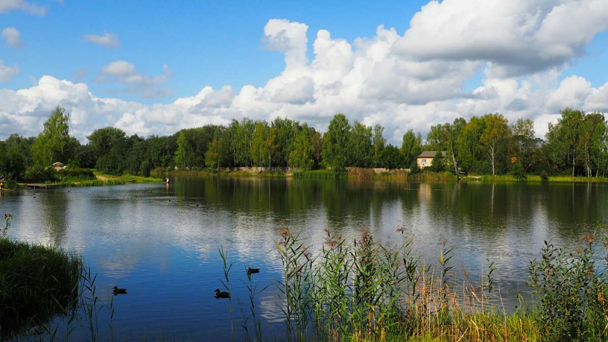 ������ ���������� �����. ����� �������� �������� �� PhotoGeek.ru #������ ��� �������