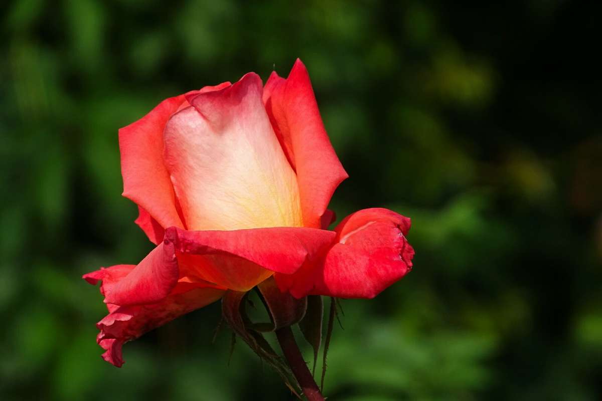 ��������� �����. ����� �������� �������� �� PhotoGeek.ru #����� #�����