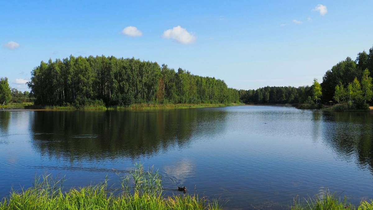 ���������. ����� �������� �������� �� PhotoGeek.ru #������ ��� �������