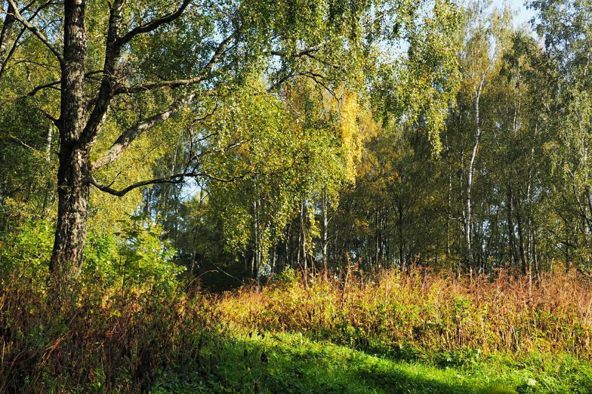 ��� ��������� �����. ����� �������� �������� �� PhotoGeek.ru #������ ��� �������