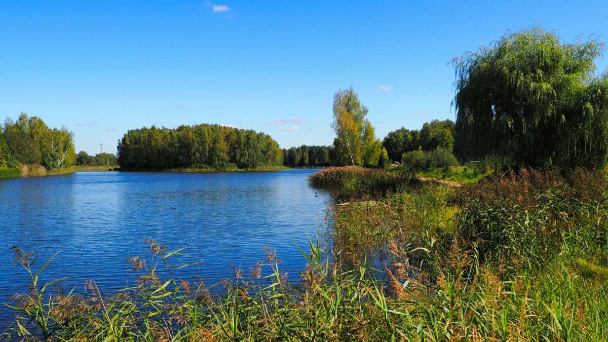 ��������. ����� �������� �������� �� PhotoGeek.ru #������ ��� �������