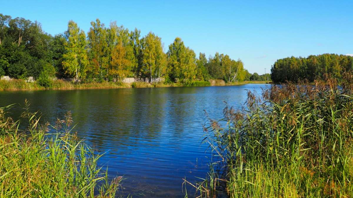 �������� ����� �������� �������� �� PhotoGeek.ru #������ ��� �������