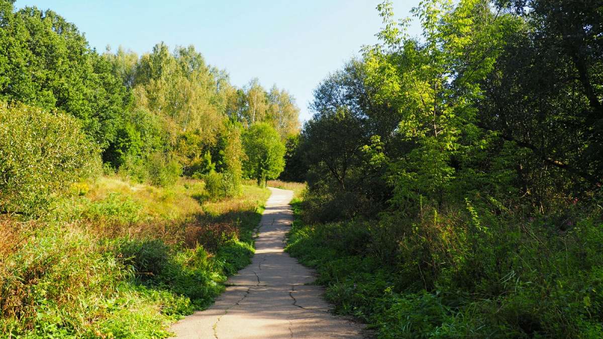 ��������� ���� � ��������. ����� �������� �������� �� PhotoGeek.ru #����� #������ ��� �������