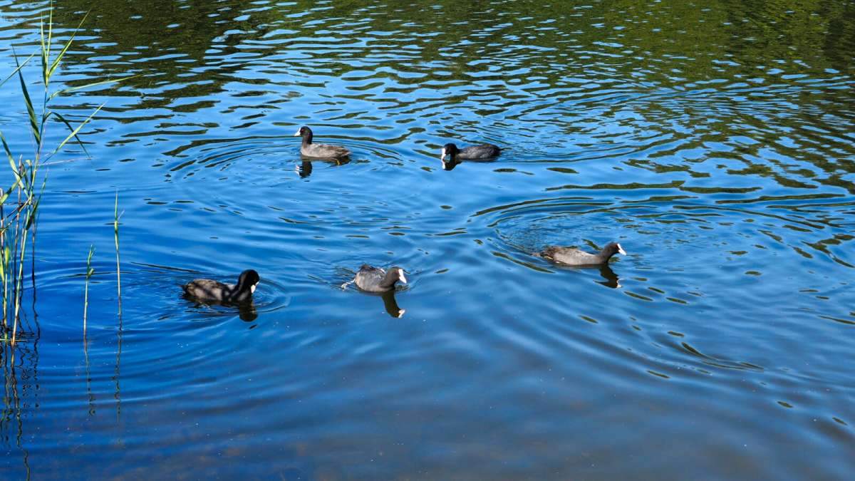 ������ �������� �� ���������. ����� �������� �������� �� PhotoGeek.ru #�������� ���