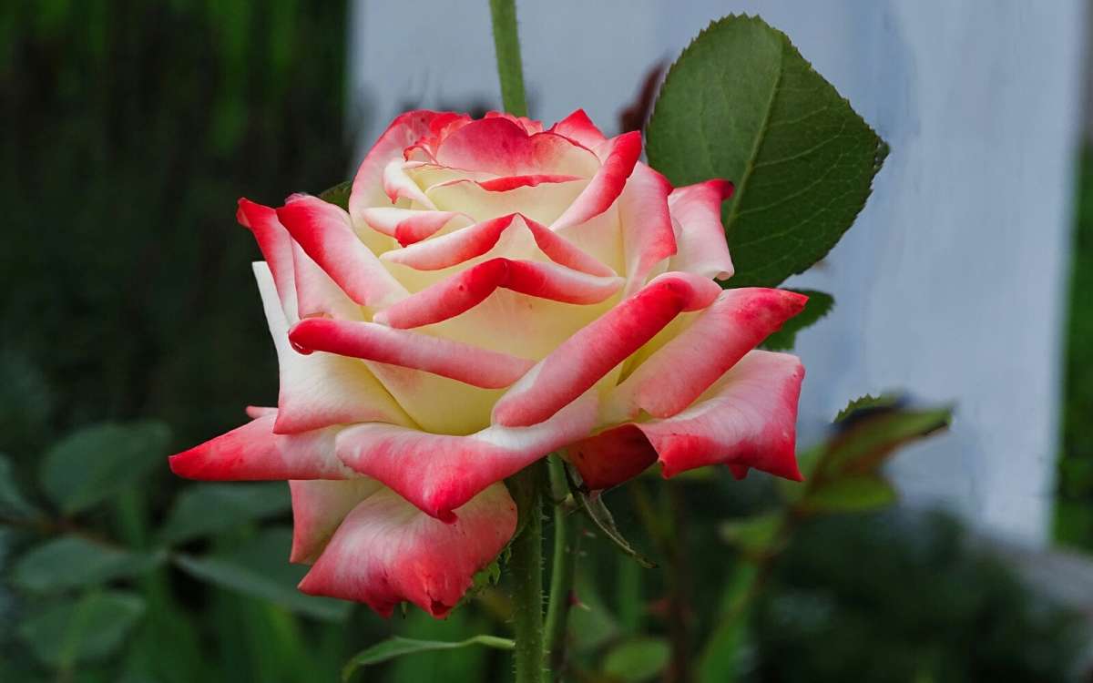 ��� ����. ����� �������� �������� �� PhotoGeek.ru #����� #�����