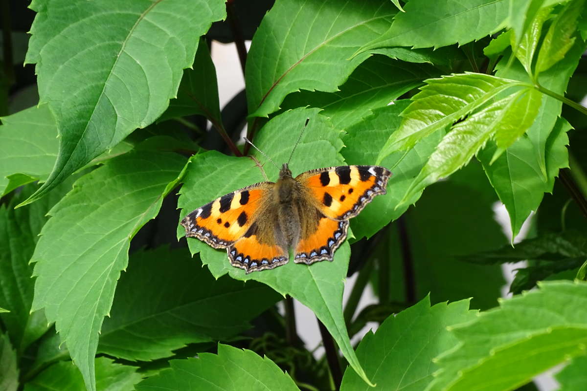 �  �������� ����� �������� �������� �� PhotoGeek.ru #�������� ��� #������ ��� �������