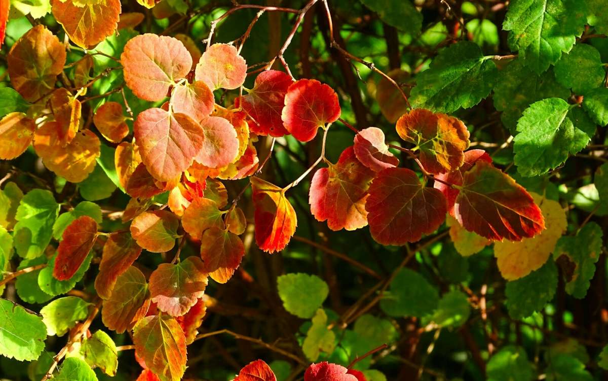 �������� ��������. ����� �������� �������� �� PhotoGeek.ru #����� #����� #������ ��� �������