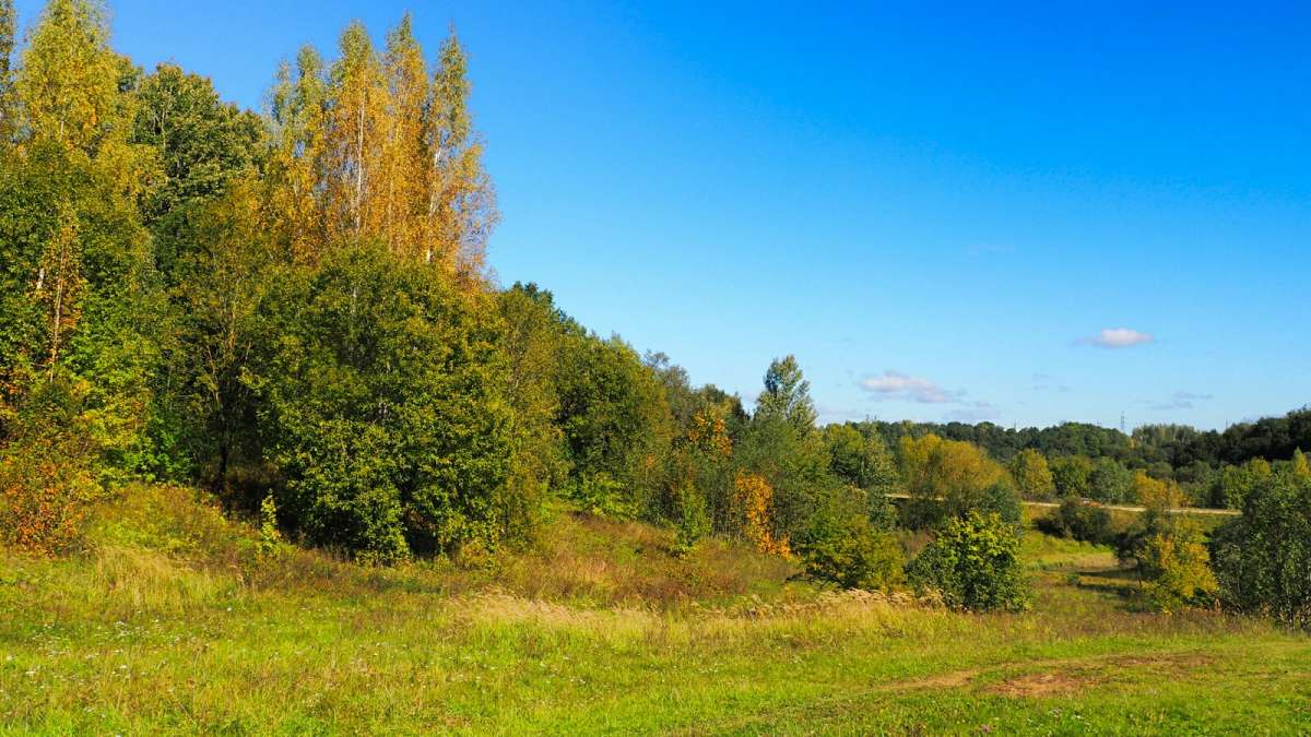 ������� ������� ����� �������� �������� �� PhotoGeek.ru #������ ��� �������
