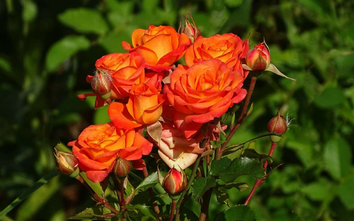 ������� ����. ����� �������� �������� �� PhotoGeek.ru #����� #����� #������ ��� �������