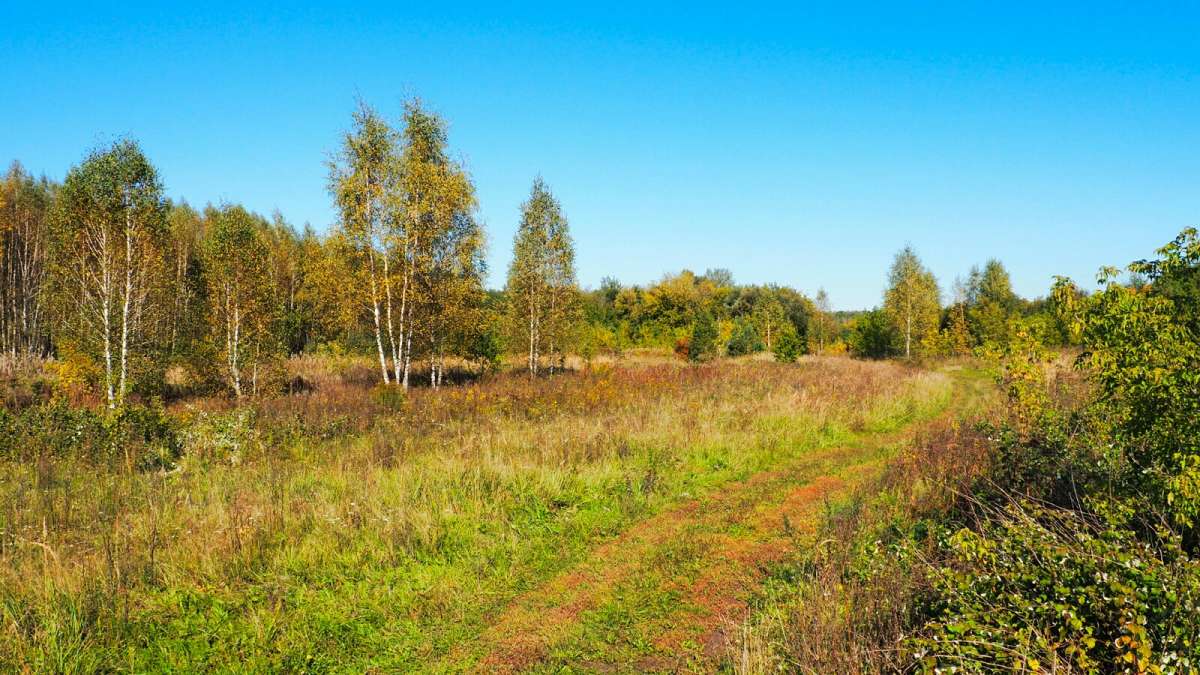������ � ������. ����� �������� �������� �� PhotoGeek.ru #������ ��� �������