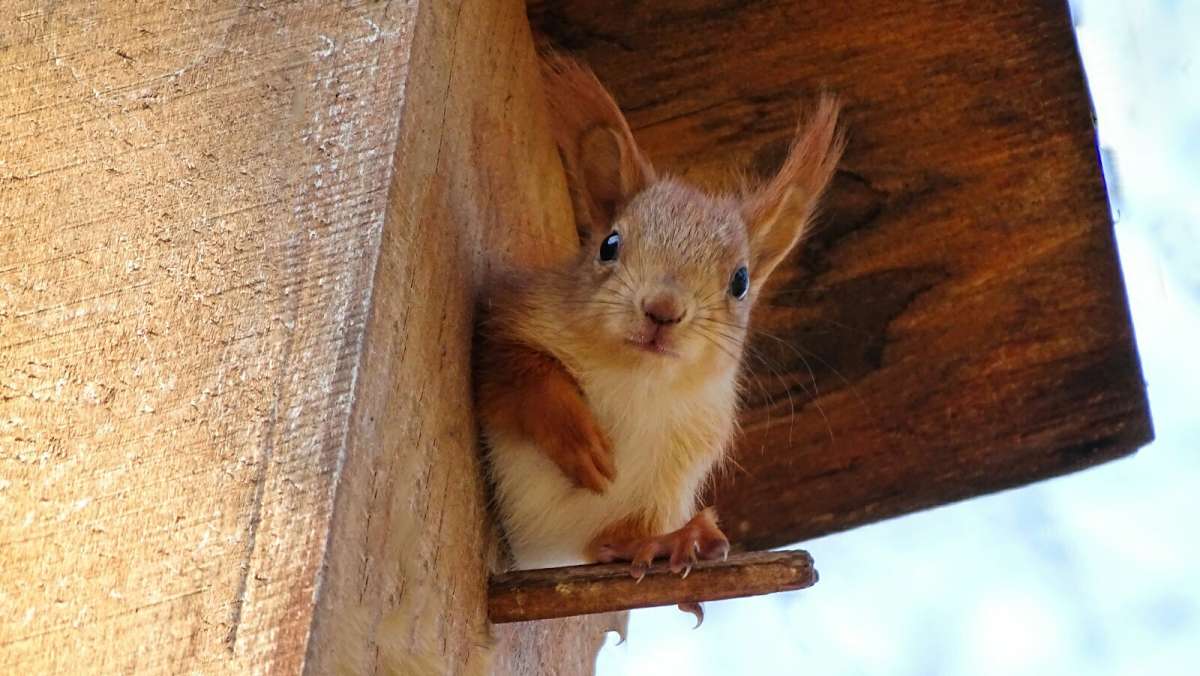 ����� ���������� ���������� �� ����. ����� �������� �������� �� PhotoGeek.ru #����� #�������� ���