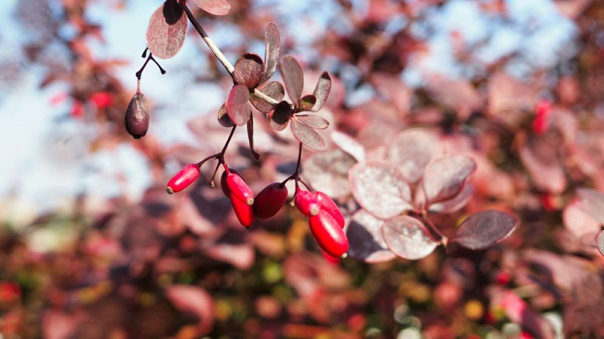 �������� �����. ����� �������� �������� �� PhotoGeek.ru #����� #�����