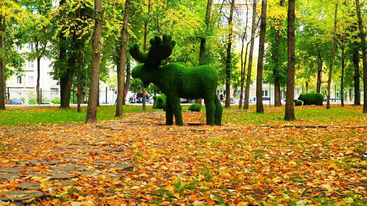 � ��������� ����  �� ������� �����. ����� �������� �������� �� PhotoGeek.ru #����� #������ ��� �������