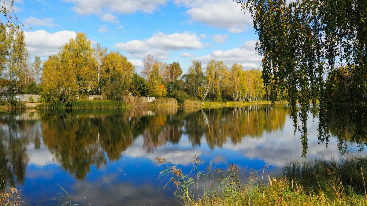 ������ �����. ����� �������� �������� �� PhotoGeek.ru #������ ��� �������