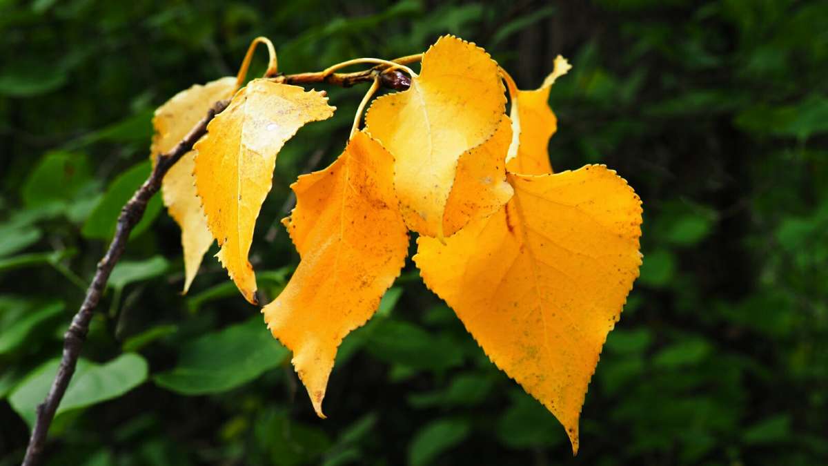 ����� ����� ����. ����� �������� �������� �� PhotoGeek.ru #�����