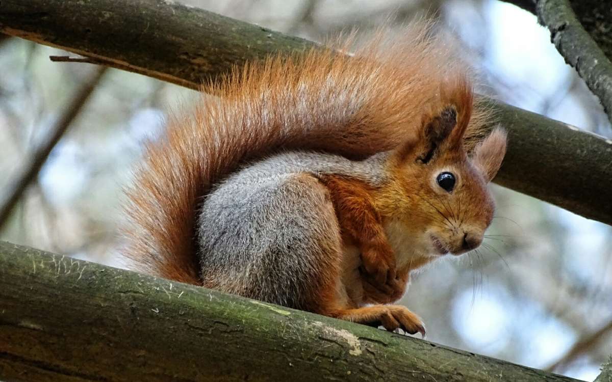 ����� ���������� ����� ����� �������� �������� �� PhotoGeek.ru #����� #�������� ���