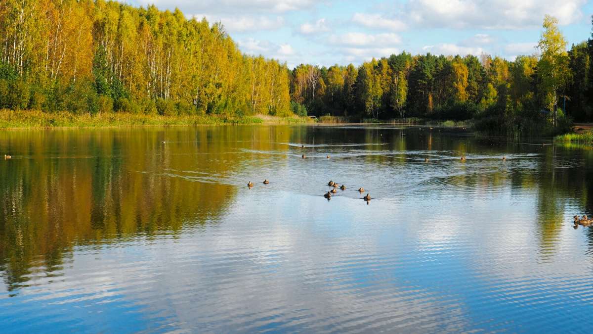 ����, ������� �������� �� �������. ����� �������� �������� �� PhotoGeek.ru #�������� ���