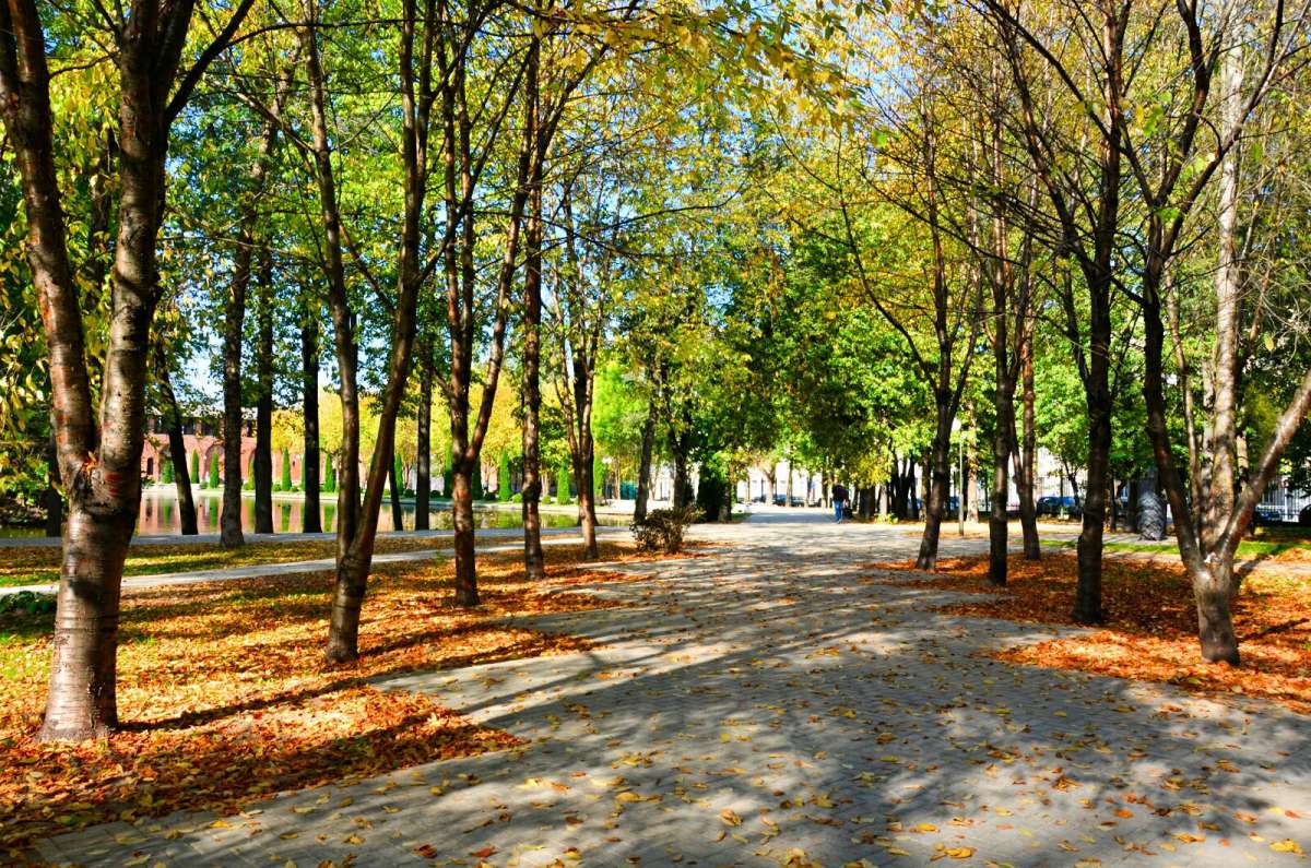 ������� ���. ����� �������� �������� �� PhotoGeek.ru #����� #������ ��� �������