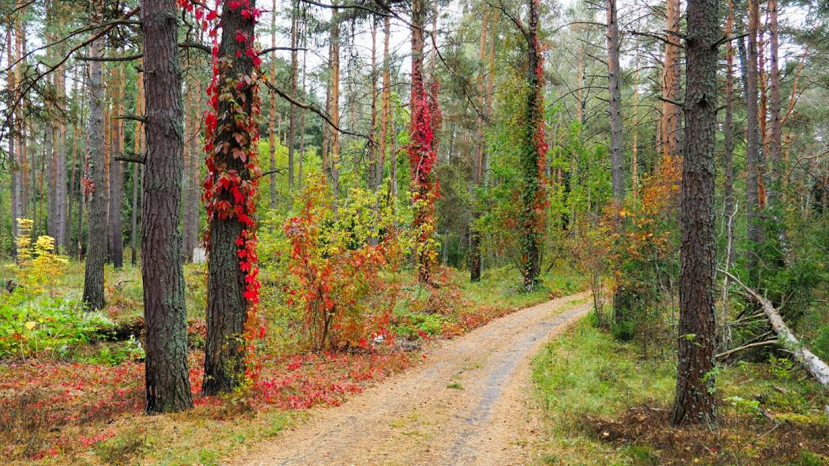 ������ �������� ����. ����� �������� �������� �� PhotoGeek.ru #������ ��� �������