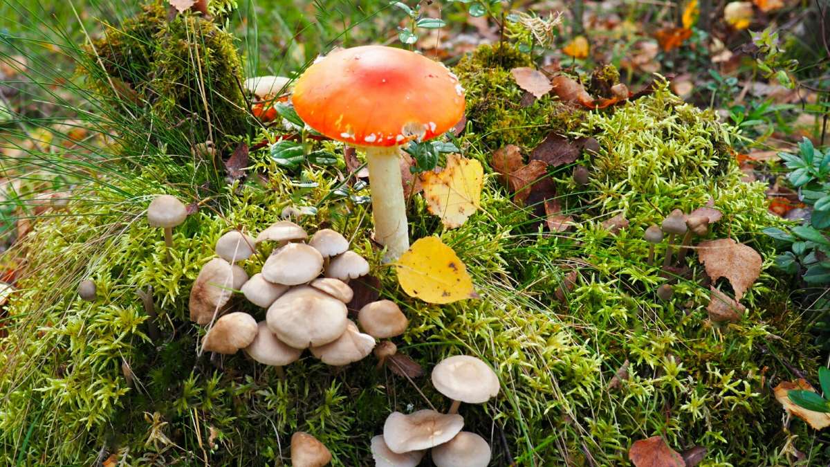 �������. ����� �������� �������� �� PhotoGeek.ru #����� #������ ��� �������