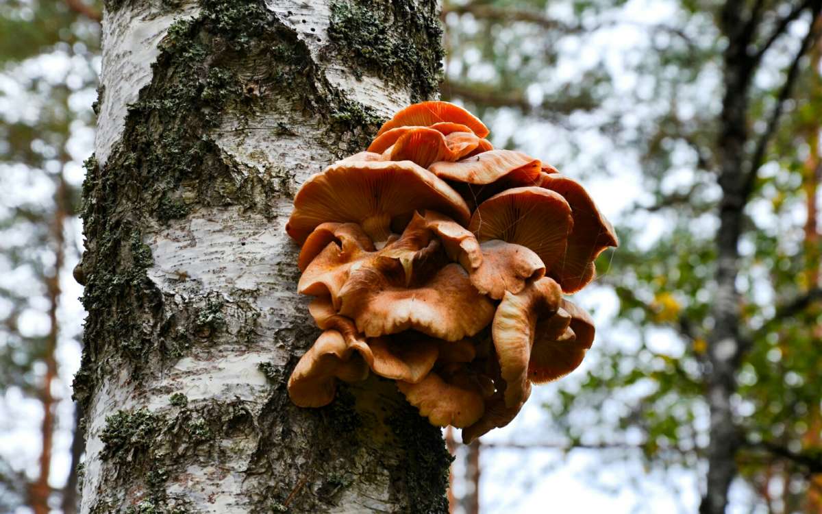 ����� �� ������ ����� ����� �������� �������� �� PhotoGeek.ru #����� #������ ��� �������