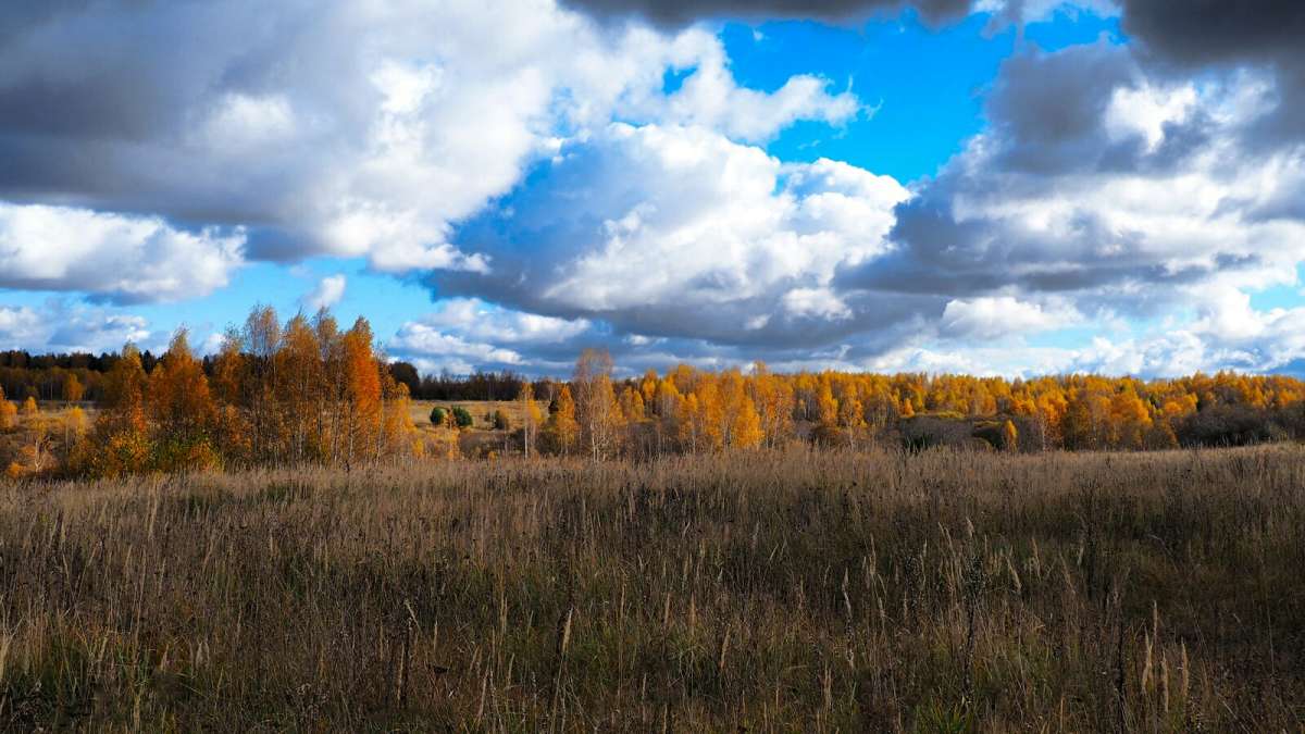 ���������� ����� ����� �������� �������� �� PhotoGeek.ru #������ ��� �������