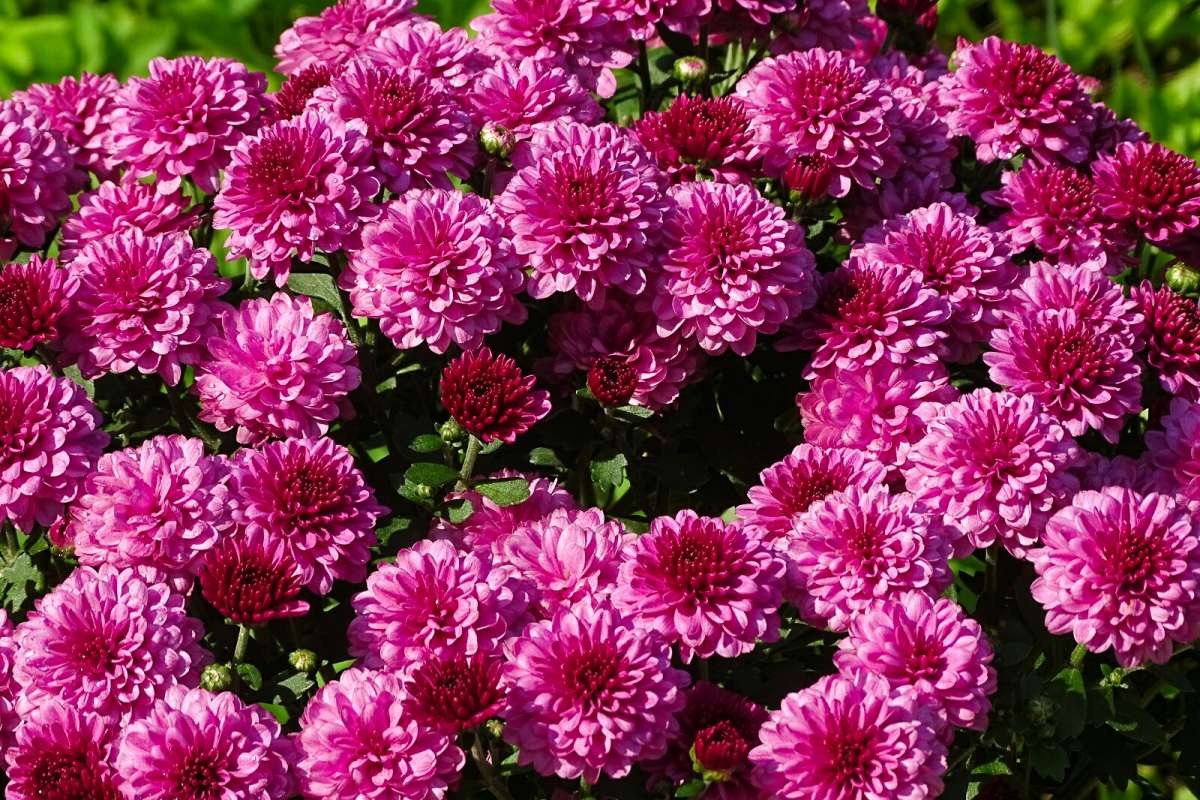 ������� ������� ����� �������� �������� �� PhotoGeek.ru #����� #����� #������ ��� �������