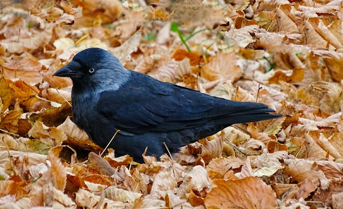 ����� �������� ���������� � ������� ����� �������� �������� �� PhotoGeek.ru #����� #�������� ���