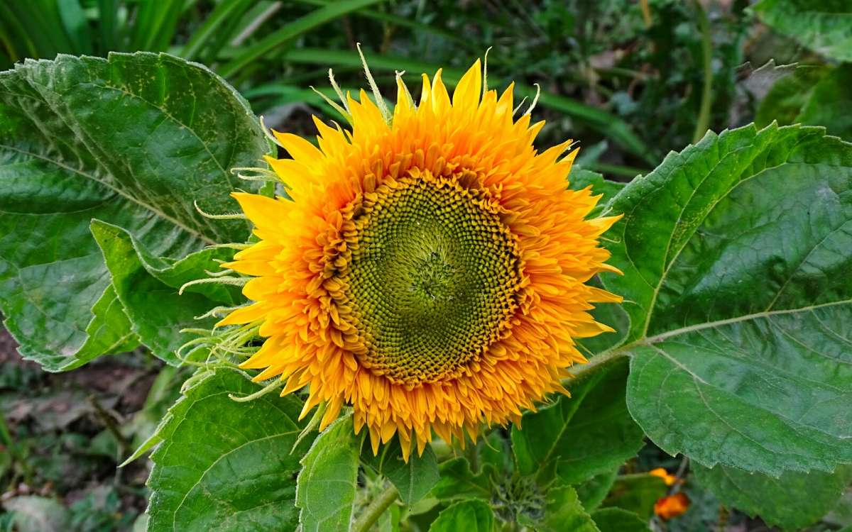��������� ����� � ����� �������� ����� �������� �������� �� PhotoGeek.ru #����� #�����