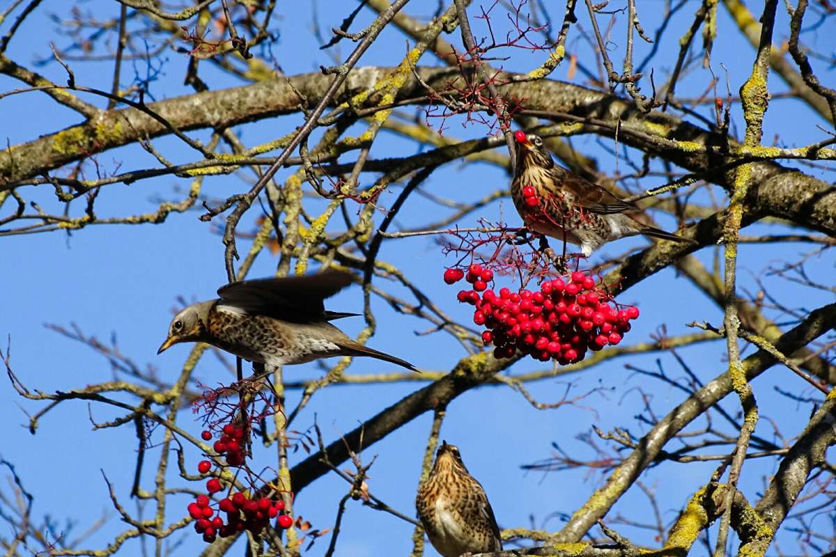 �� ����� �������-���������� ����� �������� �������� �� PhotoGeek.ru #����� #�������� ���