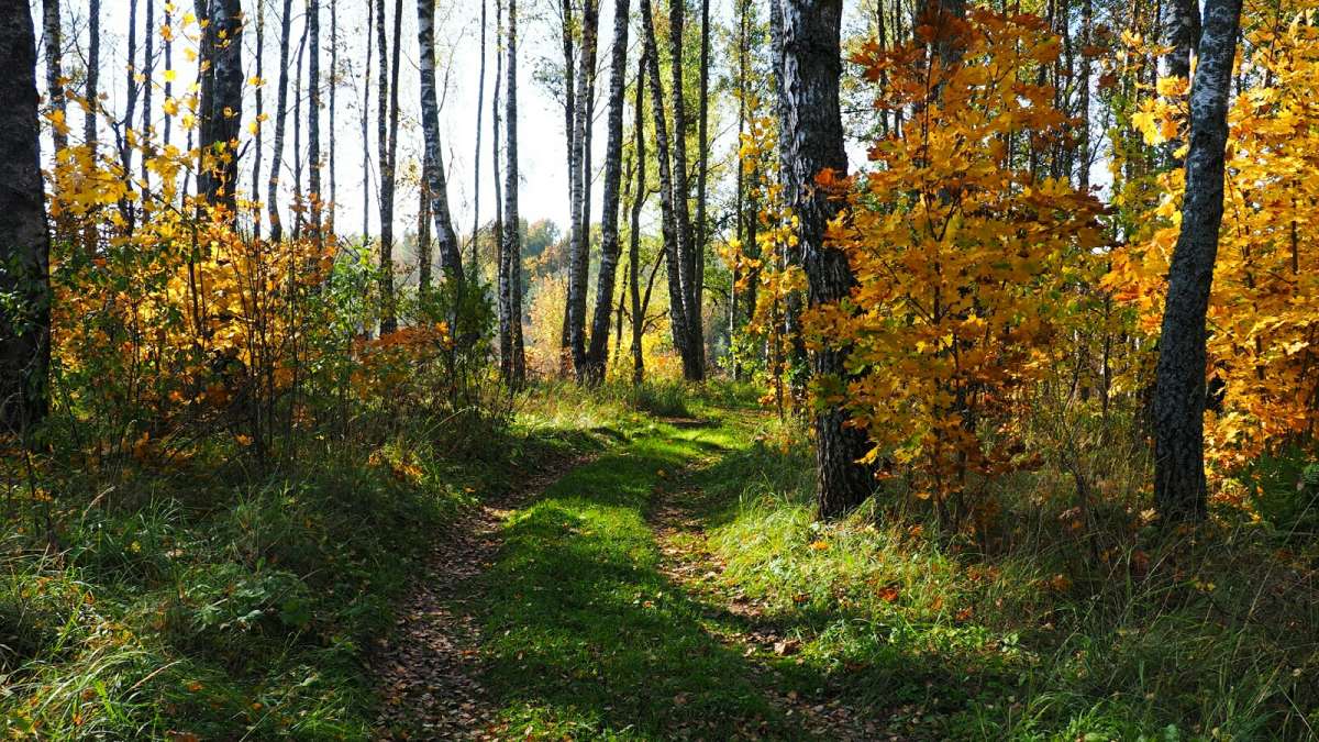 ������ �� ����� ������ ����� �������� �������� �� PhotoGeek.ru #������ ��� �������