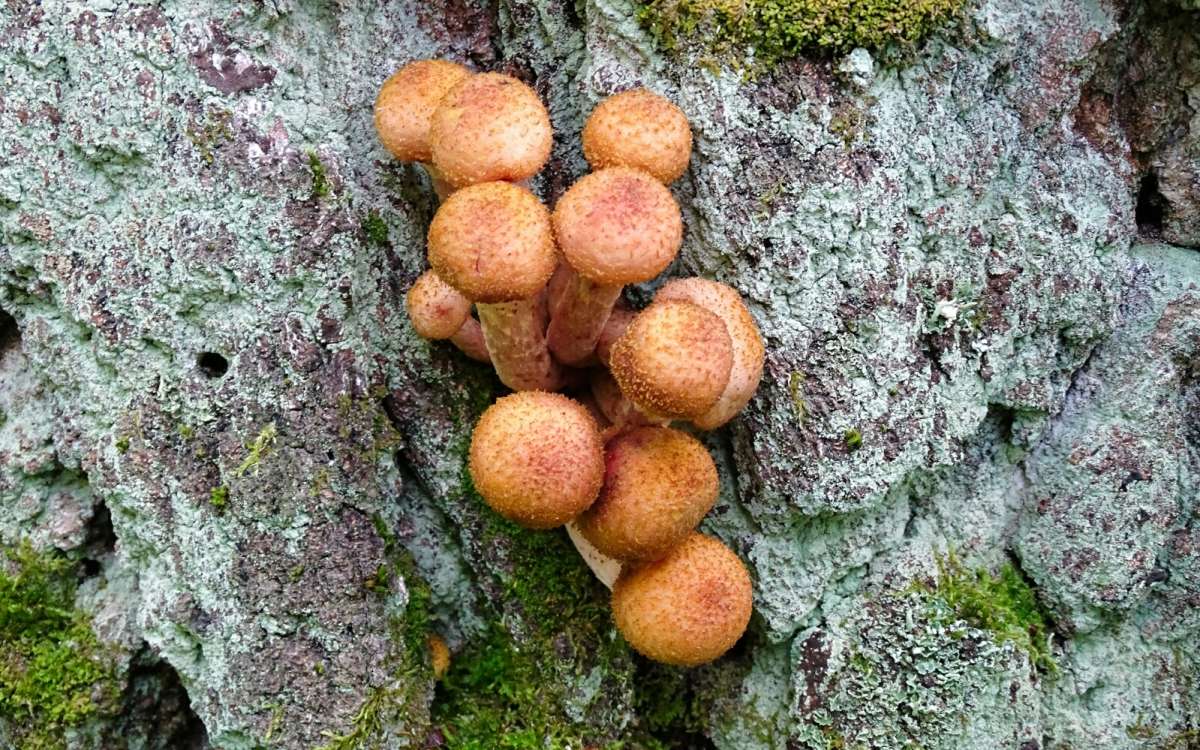����� �� ������ �����. ����� �������� �������� �� PhotoGeek.ru #�����
