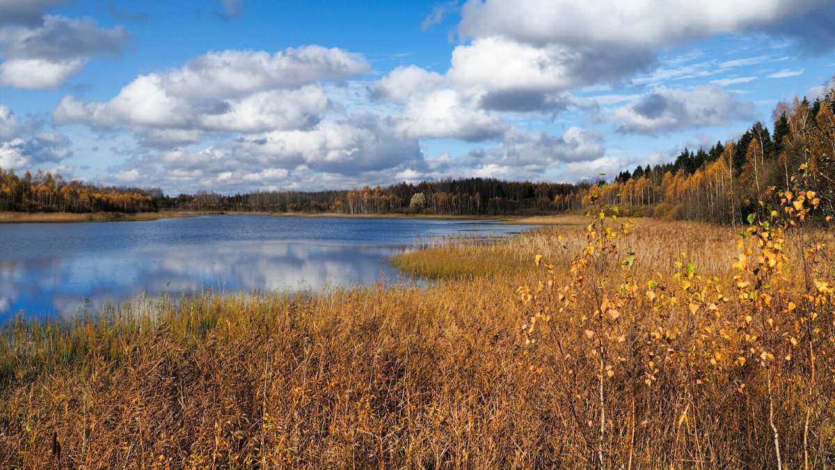 ��� ���� ����� �������� �������� �� PhotoGeek.ru #������ ��� �������