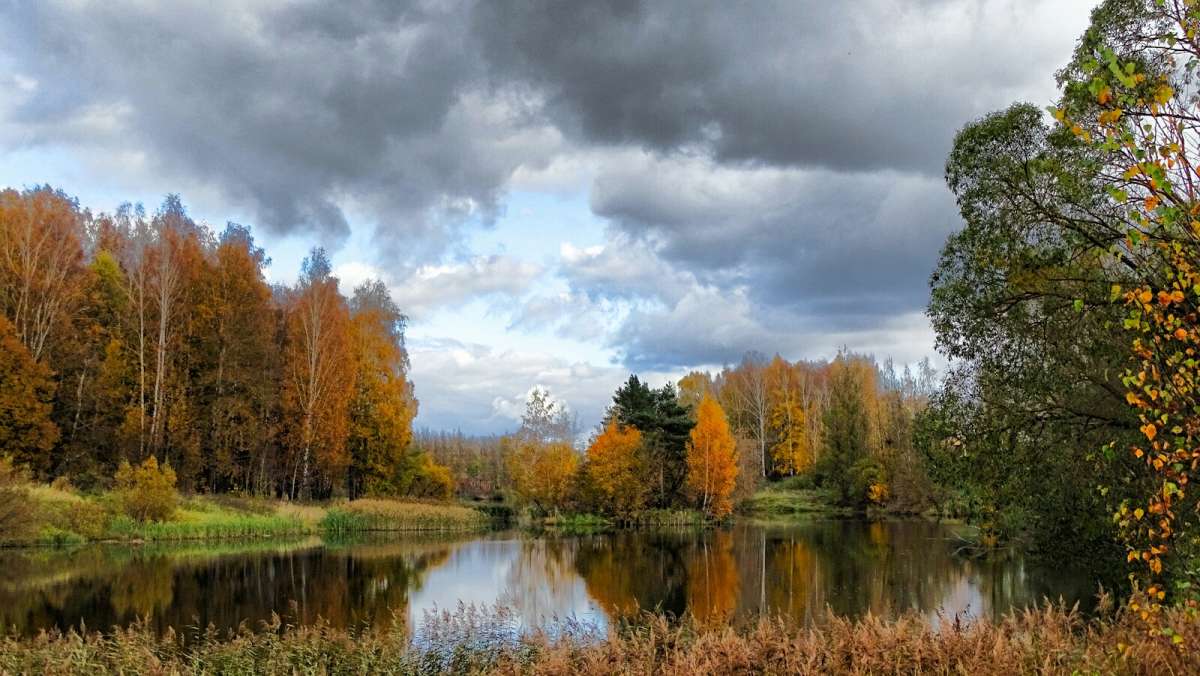 �������� ����������� ���� ����� �������� �������� �� PhotoGeek.ru #������ ��� �������