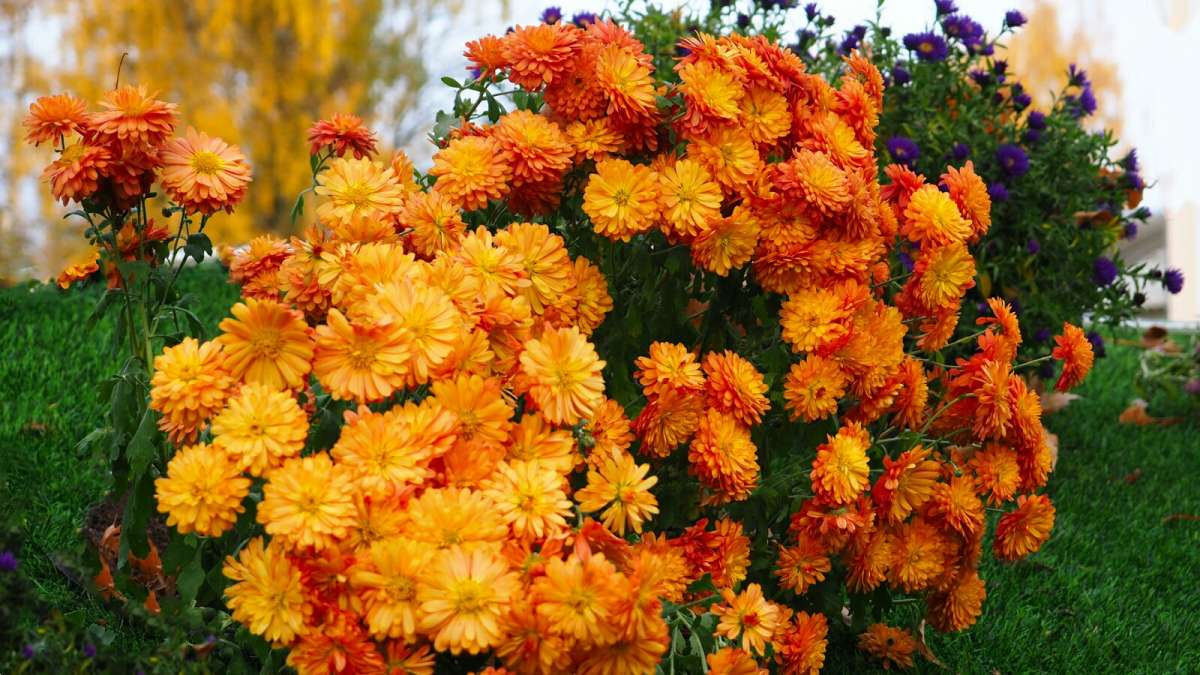 ����� �� ��������� ������ � �������� ����� �������� �������� �� PhotoGeek.ru #����� #�����