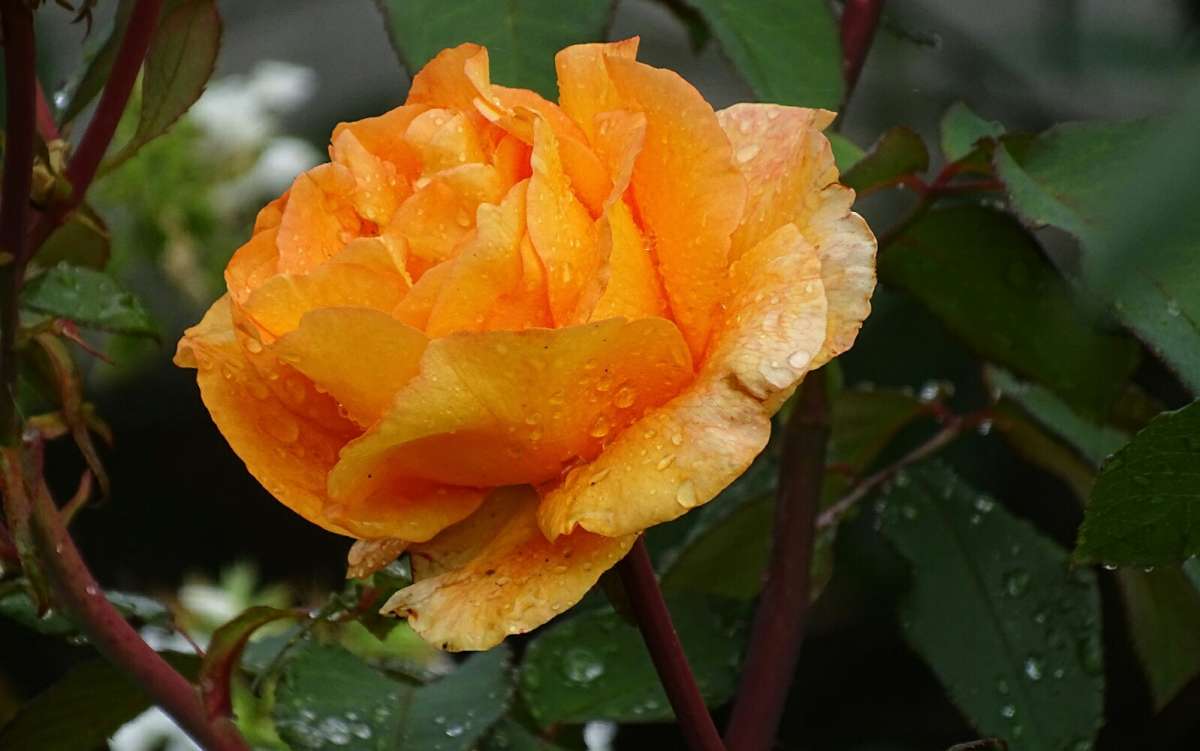 ���� ��� ����� ����� �������� �������� �� PhotoGeek.ru #����� #�����