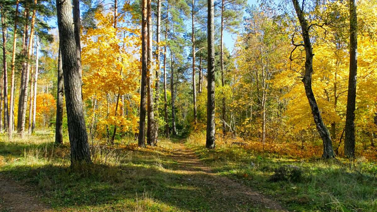 � ������� ����. ����� �������� �������� �� PhotoGeek.ru #������ ��� �������