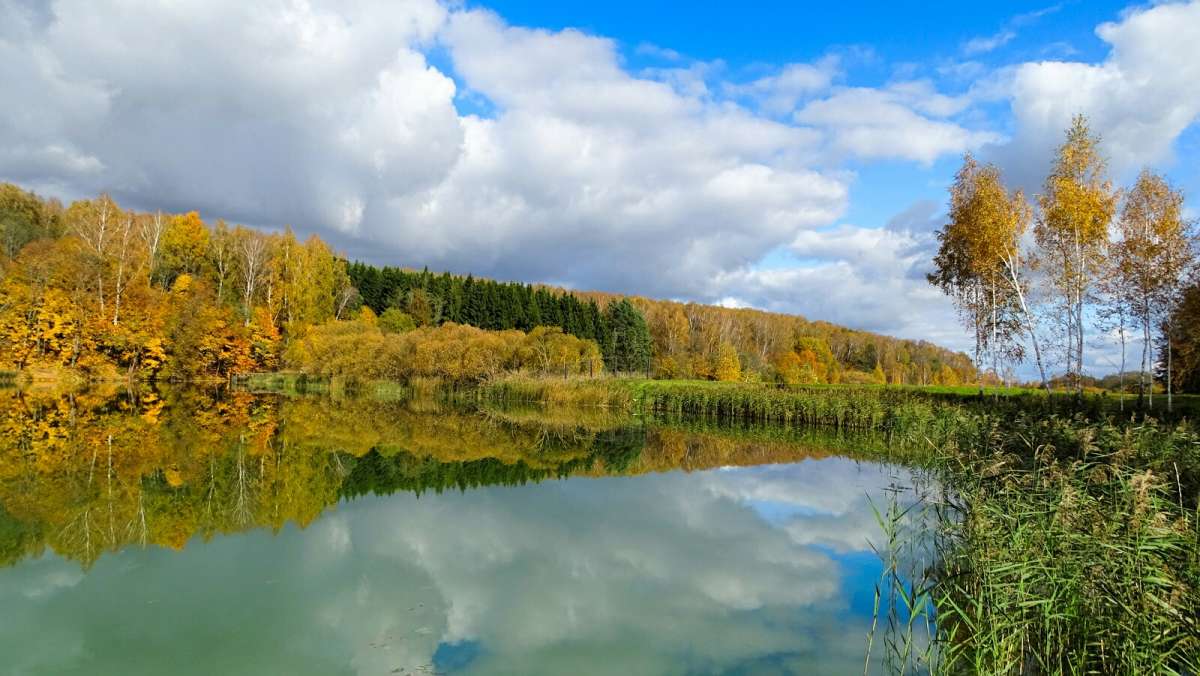 ���������� ����� ����� �������� �������� �� PhotoGeek.ru #������ ��� �������