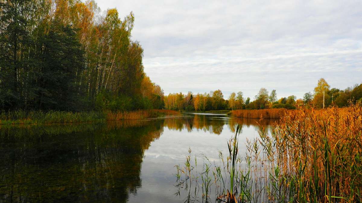 ������� ������� ���������� ����� �������� �������� �� PhotoGeek.ru #������ ��� �������