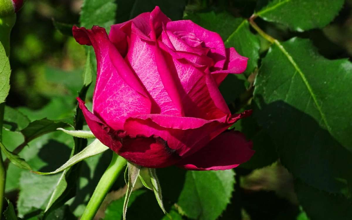� ����� ����� �������� �������� �� PhotoGeek.ru #����� #�����