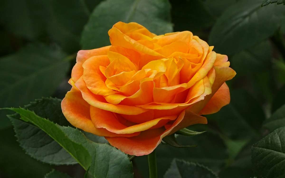 � ����� ����� �������� �������� �� PhotoGeek.ru #����� #�����