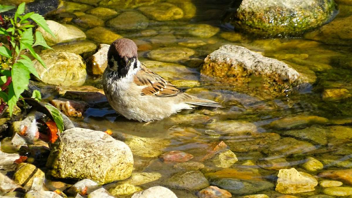 ������� �������� � ������� ������. ����� �������� �������� �� PhotoGeek.ru #����� #�������� ���