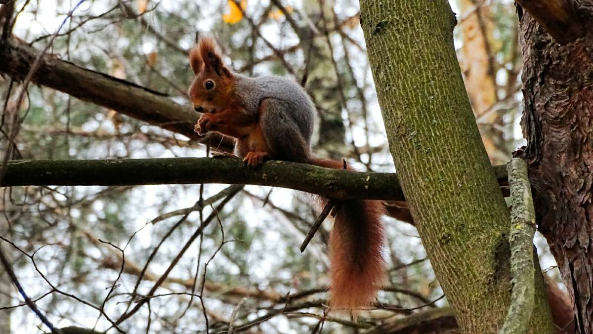 ��������� �����. ����� �������� �������� �� PhotoGeek.ru #����� #�������� ���