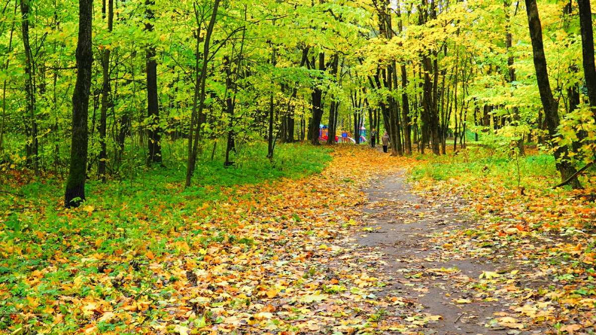 ������� ����. ����� �������� �������� �� PhotoGeek.ru #����� #������ ��� �������