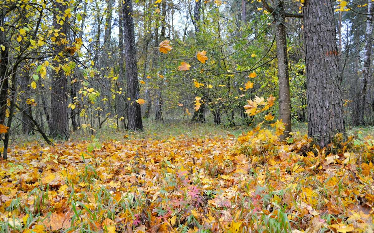 ������� ��� ����� �������� �������� �� PhotoGeek.ru #������ ��� �������