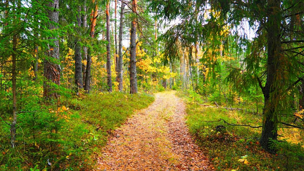 ��� � ������� ����� �������� �������� �� PhotoGeek.ru #������ ��� �������