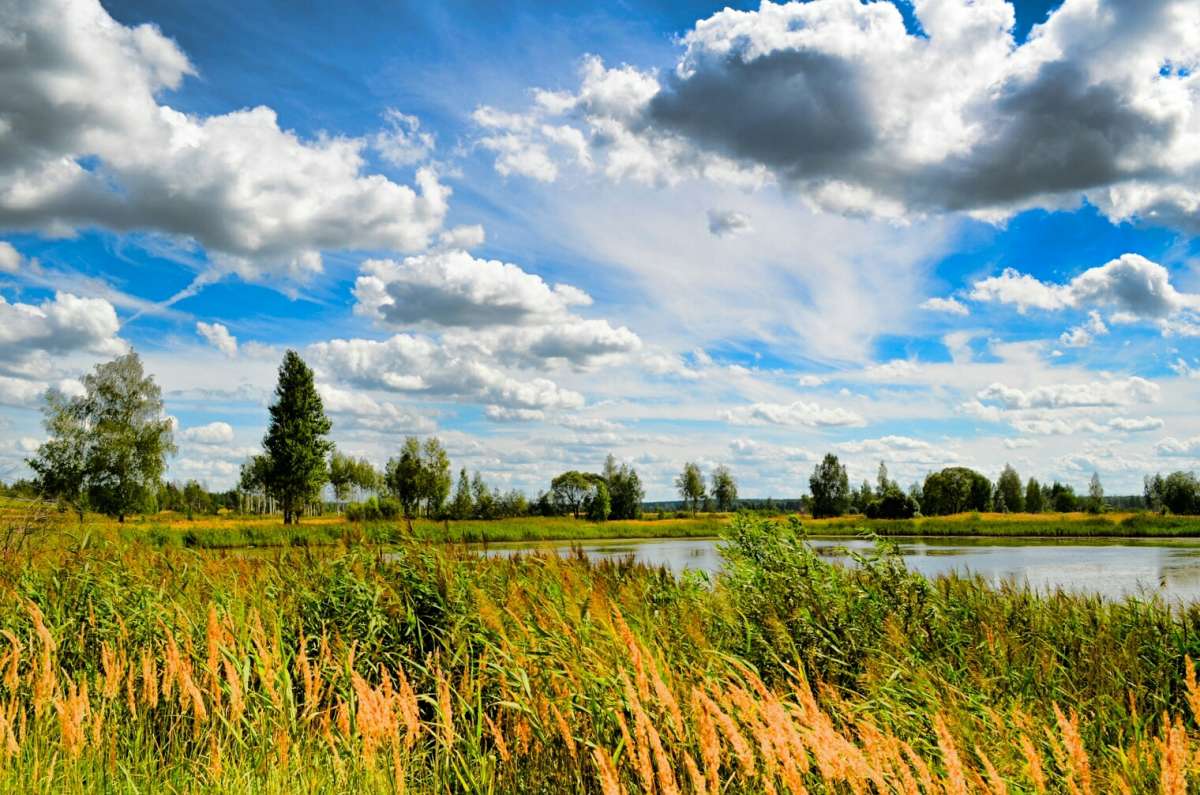 ��� ������. ����� �������� �������� �� PhotoGeek.ru #������ ��� �������