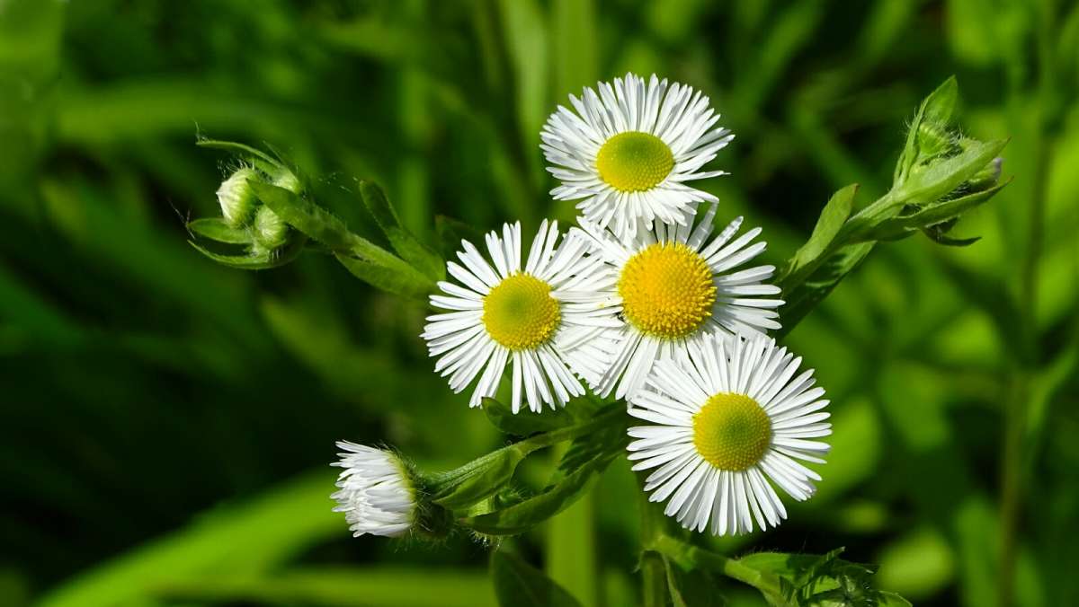 ������� ����� ��������. ����� �������� �������� �� PhotoGeek.ru #����� #������ ��� �������