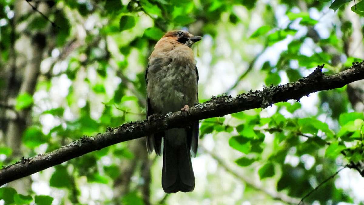 �����. ����� �������� �������� �� PhotoGeek.ru #�������� ���